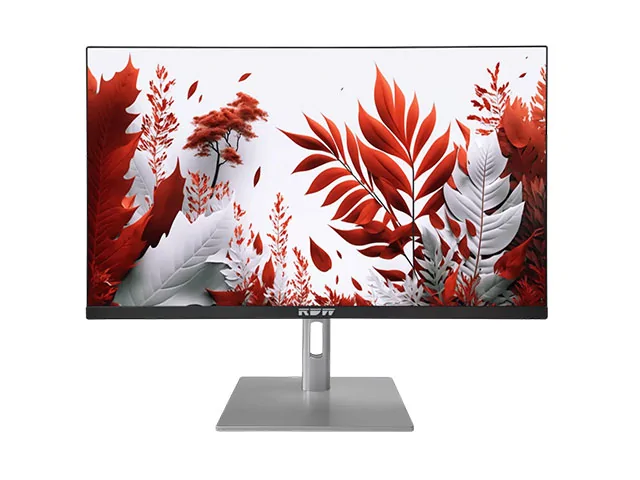 Монитор RDW2407K Q14В3100V2A1