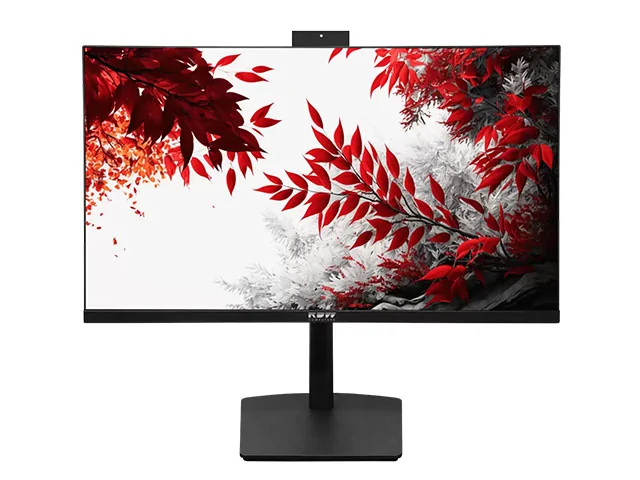 Монитор RDW2402К F02B3100V2A1