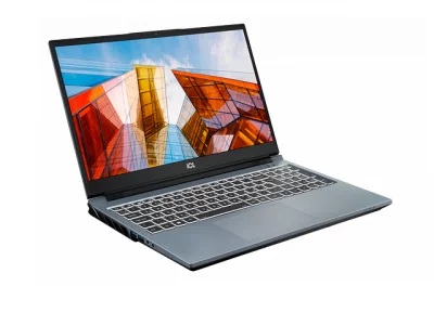 Ноутбук Raybook P1511 G1R