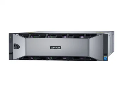 СХД СИЛА CX3-1043